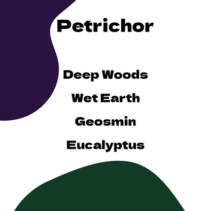 Petrichor Candle Bundle